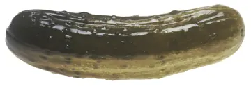 A sour brined cucumber.