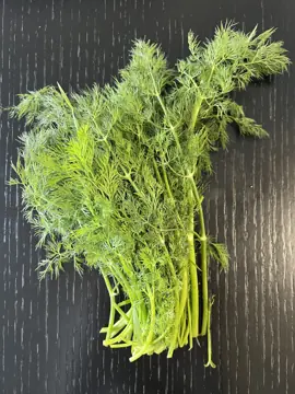 A bunch of fresh dill.