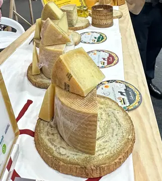 Manchego wheels on display.